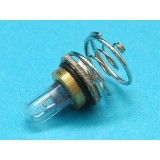 Light Bulb R500 (GP554D G&P)